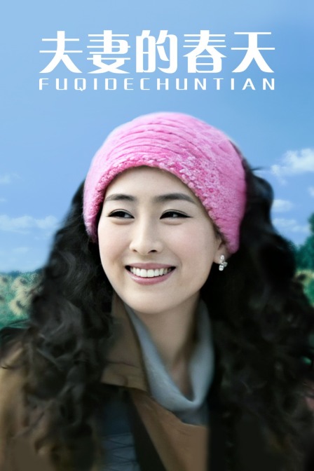夫妻的春天海报
