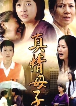 真情母子海报