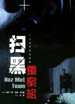 扫黑重案组海报