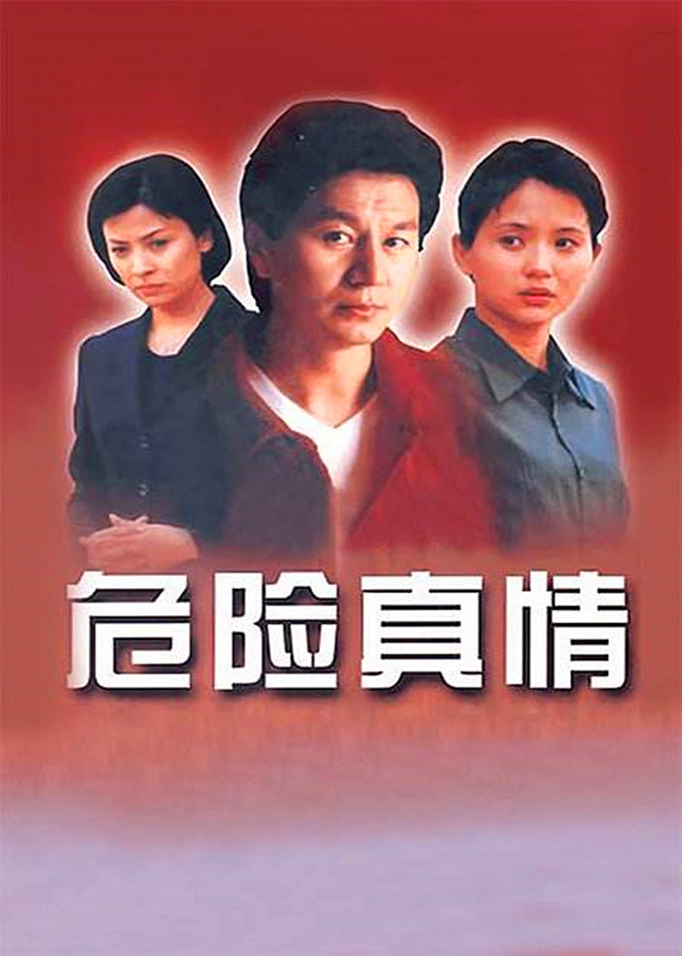 危险真情海报