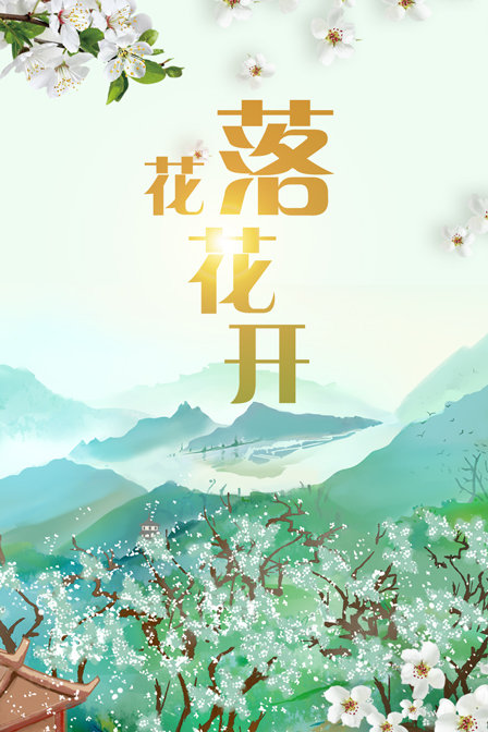 花落花开海报