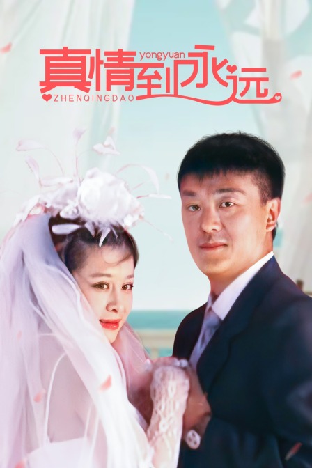 真情到永远