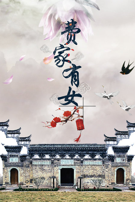 费家有女海报