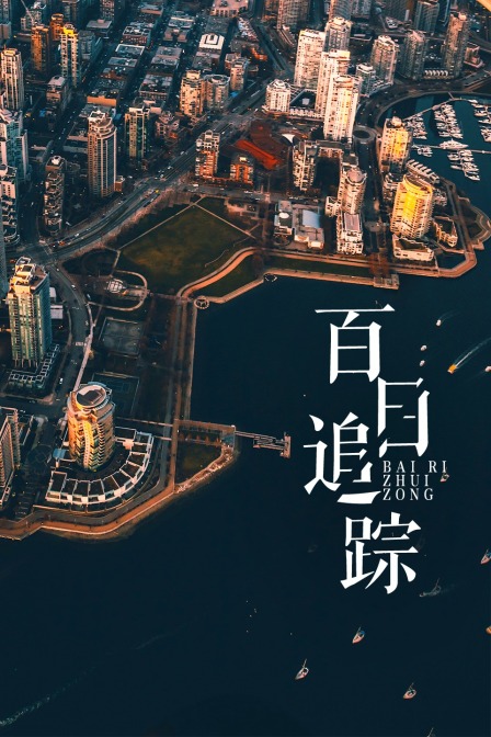 百日追踪海报